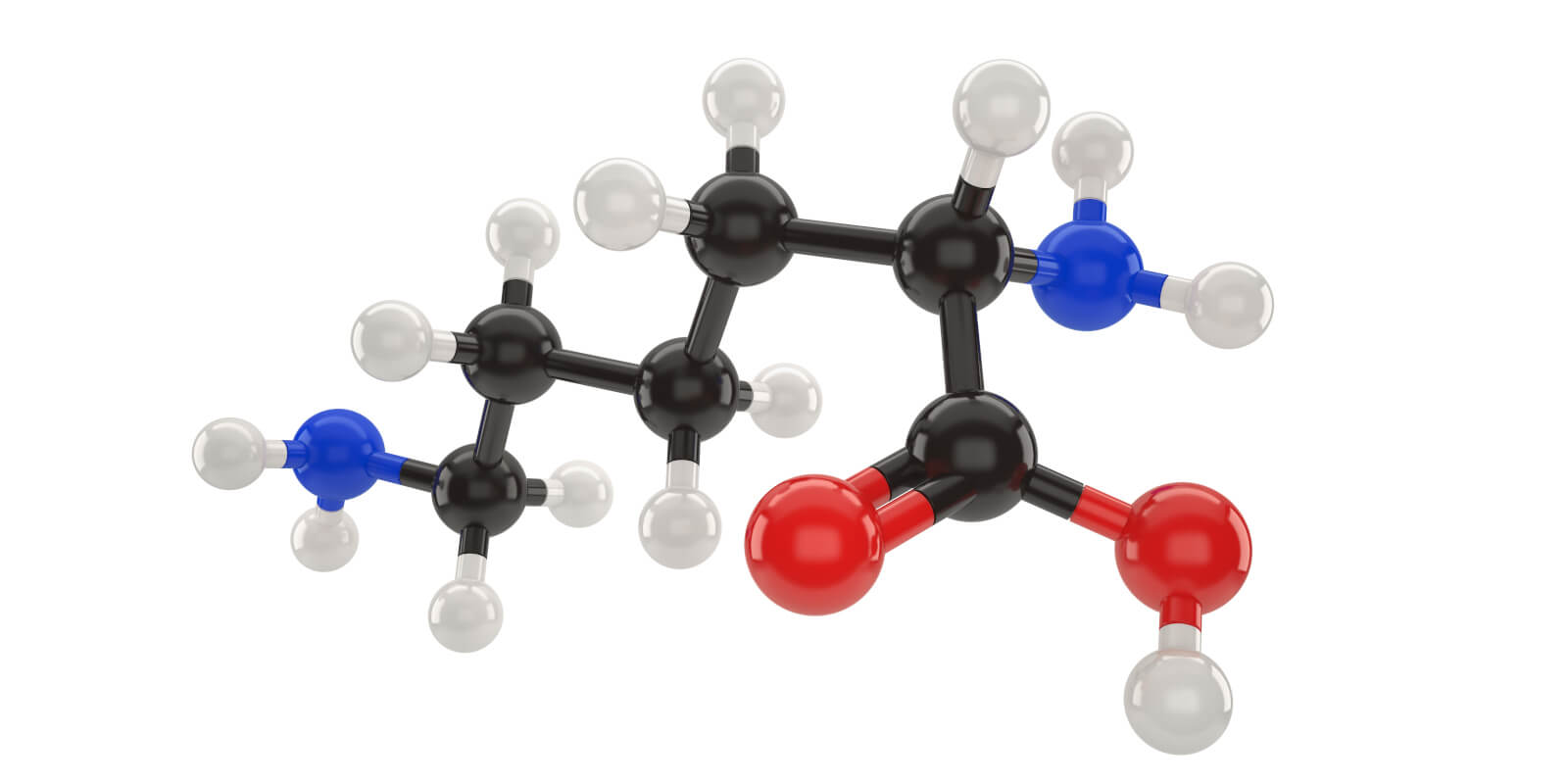 amino acid molecule structure