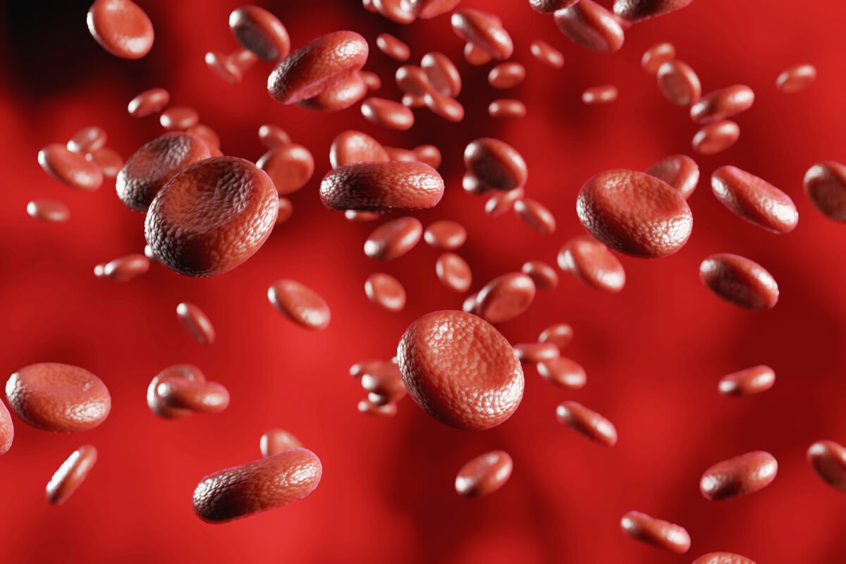 blood cells moving flow hemoglobin cells vein 3d rendering