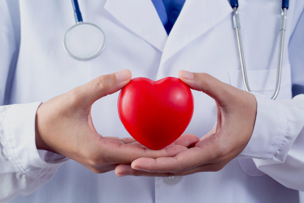 doctor holding heart heart disease care concept