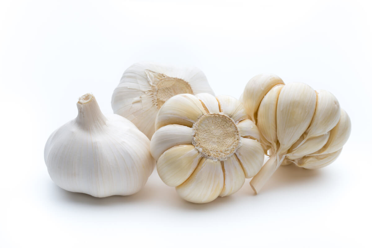 garlic isolated white background